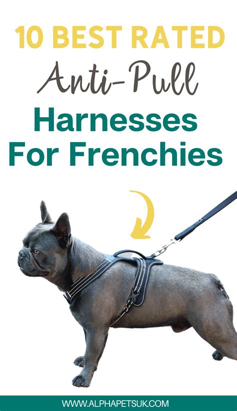 best harness for frenchies